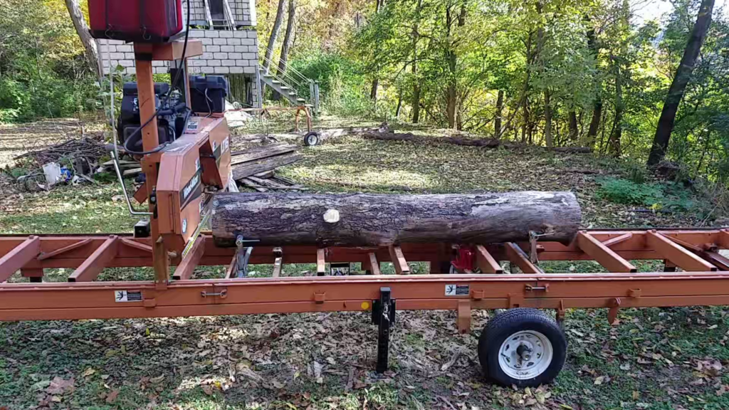 Sycamore Log